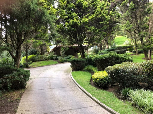 Imagen 22 de 22 de Se Vende Terreno En Bosque Real!!