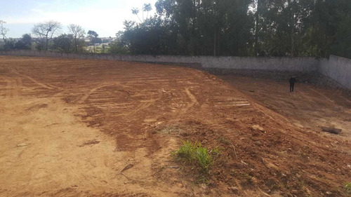 Avenida Ary Rodrigues Locação Venda Terreno Em Campinas