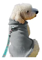 Comprar Buzos Abrigos Chalecos Ropa Para Perros Gatos Mondo Speciale