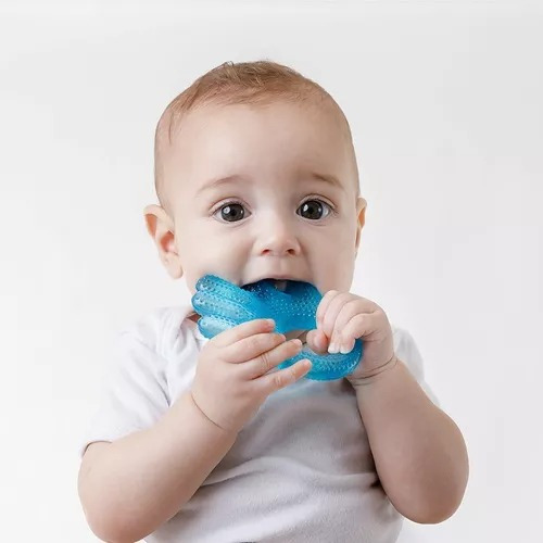 Mordedor Para Alivia A Gengiva Com Água Mãozinha - Buba