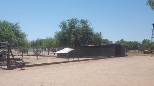 Campo En Venta Villa Quilino - Campo Ganadero Con 2 Casas