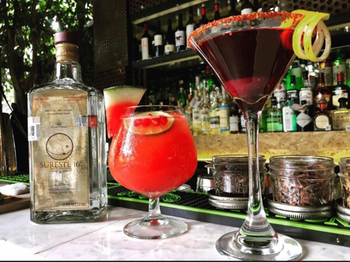 Imagen 6 de 7 de Mezcal Artesanal Sureste 16