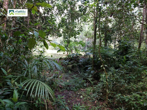 Imagem 14 de 24 de Chácara À Venda No Bairro América De Cima - Morretes/pr - 269