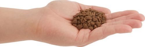 Alimento Acana para gato de temprana edad en bolsa de 1.8kg