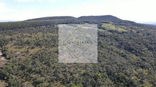 Imagem 5 de 5 de Fazenda Próxima De Uruana!! - 6903