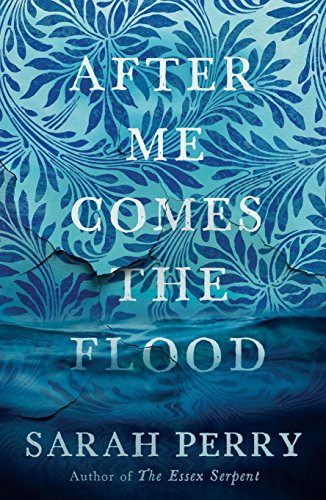 Libro After Me Comes The Flood De Perry, Sarah