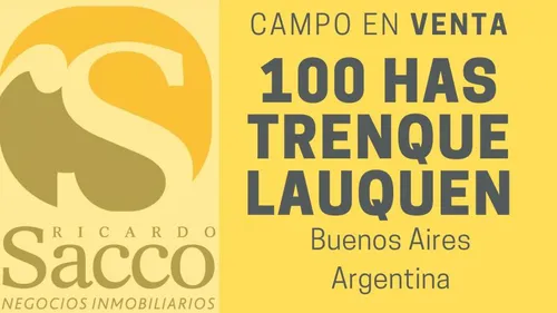 comprar Campo Ganadero De 100 Has En Venta En #trenquelauquen