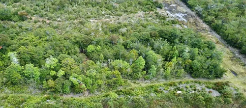 Inversión Segura En Entorno Con Bosque (132193)
