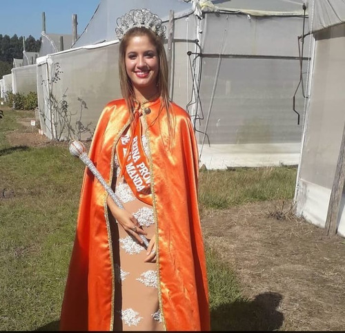 Imagen 7 de 10 de Arbol De Lima Tahiti Grande Adulto 5 Años -