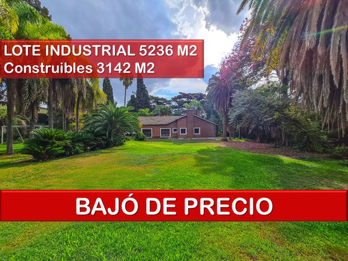 Oportunidad Lote Industrial De 5236 M2 - Construibles 3142 M2  En Pb - Divisible - Pacheco, Tigre