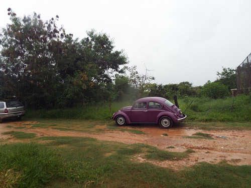 Lote Para Comprar No Pinhões Em Santa Luzia/mg - 3312