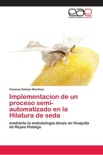 Libro: Implementacion Un Proceso Semi-automatizado