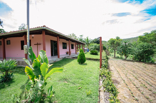 Fazenda Rocha Viva (57 Hectares), Morro Verde, 32km De Jequié-ba