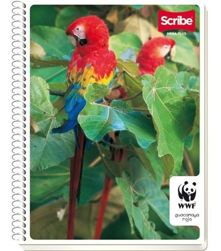 Cuaderno Profesional Blanco Scribe 100 Hojas C/ Espiral 5pzs