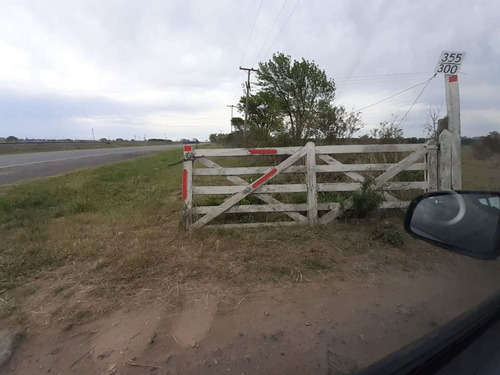 Ruta 11 Km 355 (2204), Iriondo, Santa Fe, Argentin