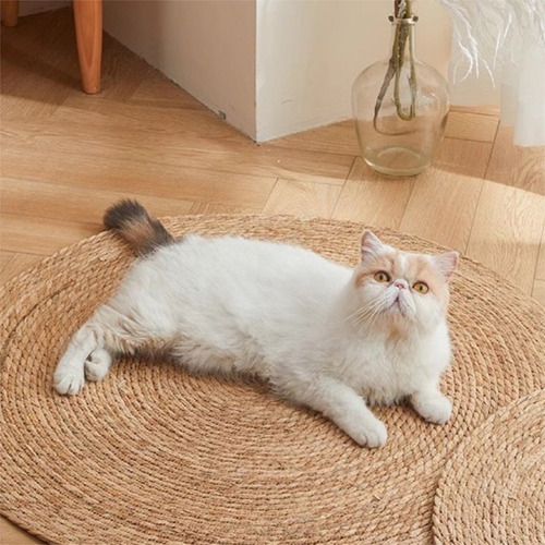 Alfombra Redonda De Rattan Grande Sala De Estar Dormitorio Diseño De La Tela Beige