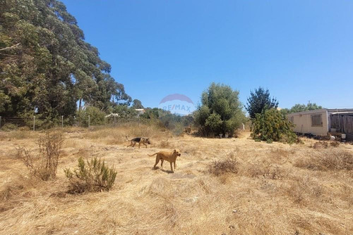 Inversión Ideal: Gran Terreno En Algarrobo,