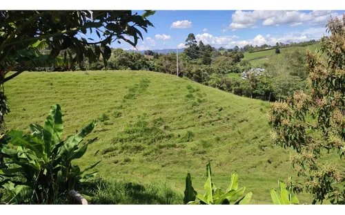 Finca Vía Rionegro La Ceja (quirama)