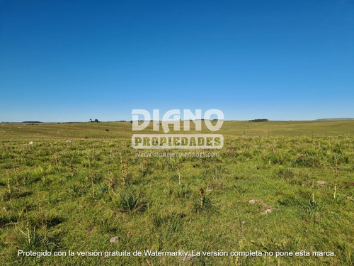 Imagen 10 de 14 de Prioridad Forestal - Buen Campo Ganadero