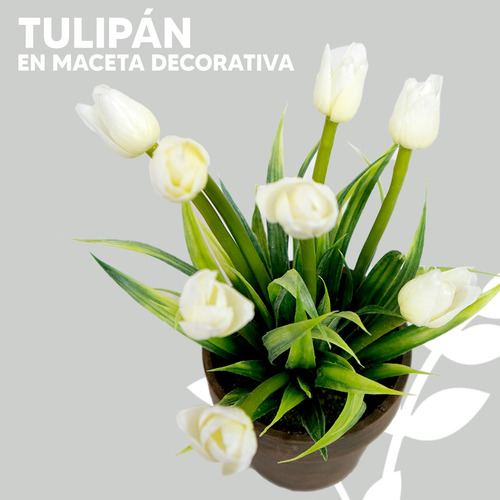Tulipán En Maceta De Papel Maché Minimalista 20cm Interior