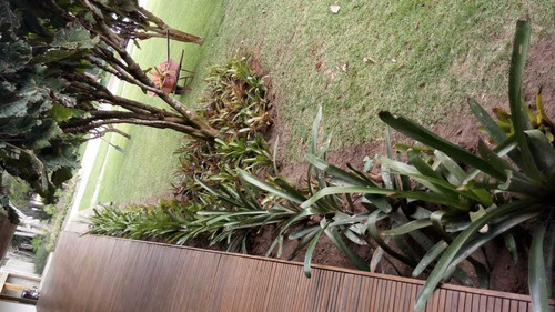 Imagem 1 de 1 de Jardim