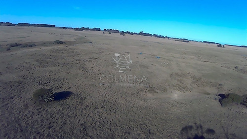 Imagen 22 de 28 de Venta Campo Ideal Para Fraccionar En Chacras Codigo 6003 - Las Garzas