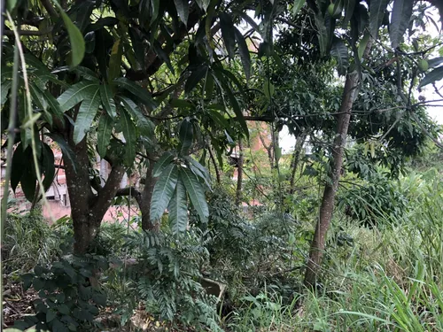 Terreno En Calle Cerrada