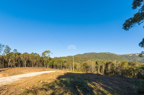Imagem 27 de 30 de Chácara - Residencial - 936672