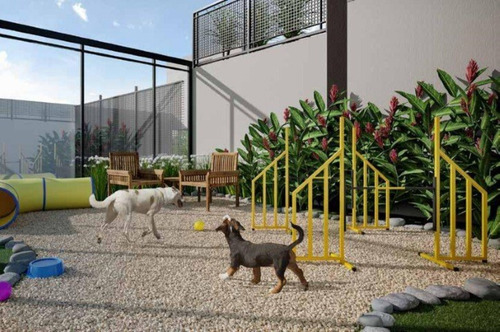 Imagem 16 de 25 de Apartamento - Ap00734 - 70610979