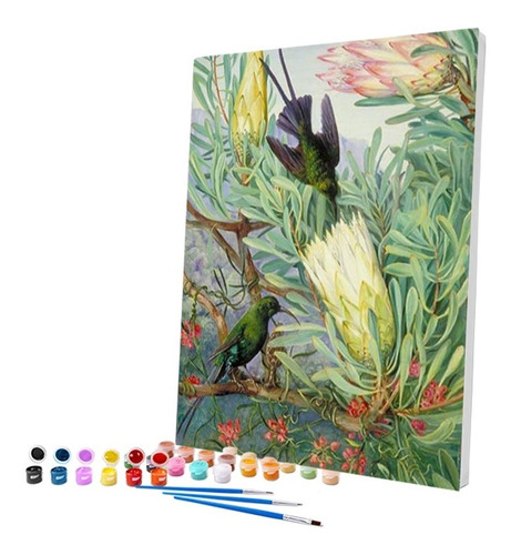 Imagem 2 de 6 de Pintura Numerada Beija-flor Vintage_p2
