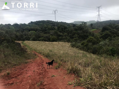 Imagem 12 de 30 de Lindo Haras Completo A Venda Em Piedade/sp - 1254 - 33115306