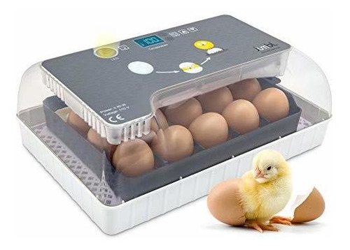 Incubadora Automática De 12-36 Huevos (según El Tamaño)