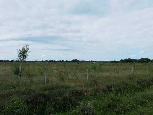 Imagen 10 de 13 de Paraje Pavon Fraccion De 11500 M2