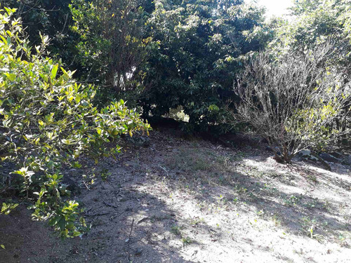 Imagem 16 de 30 de Vendo Chácara 30.000 M² Morungaba Com Casas, Nascente, Lago Piscina, Pasto. - Ch00018 - 33766655
