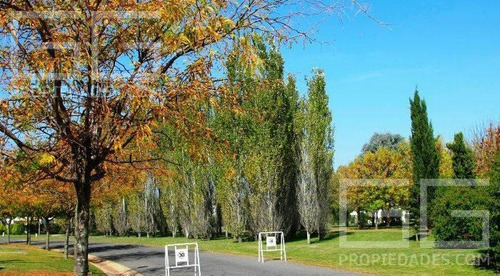 Imagen 2 de 10 de Terreno - Countries/b.cerrado (pilar)