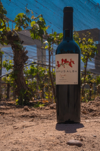 Imagen 2 de 5 de Vino Tempus Alba Syrah 750 Ml 2018