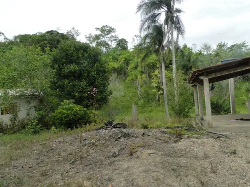 Sítio De 49,7 Hectares Registro - Sp