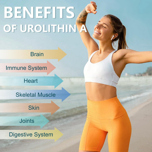Totaria Urolithin A Supplement 1000mg Com Nad+,coq10,resvera