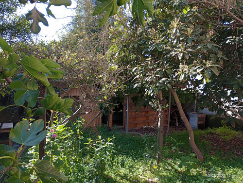 Casa 6 Dormitorios 1 Baño Amplio Terreno, Loncura, Quintero