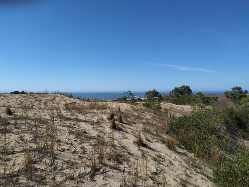 Imagen 13 de 19 de Solar - En Venta En La Viuda Punta Del Diablo A 150m De La Playa - Mza 253