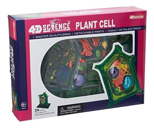 Famemaster 4d-science Modelo De Anatomia Celular De Celulas