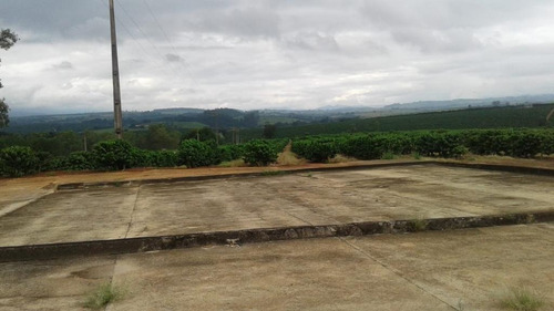 Imagem 2 de 3 de Fazenda Dupla Aptidão Para Venda Na Região De São Joao Da Boa Vista-sp, Com 54 Alqueires, 150 Mil Pés De Café, Estrutura Completa, Casa Sede, Rica Em - Fa00265 - 69535627
