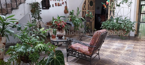 Imagen 2 de 12 de La Pastora Vende Casa Mls 21-25809