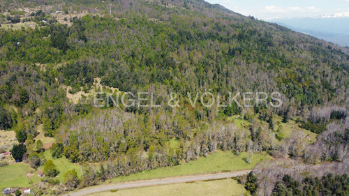 Campo De 18,5 Ha. En Sector Caburgua, En Pucón