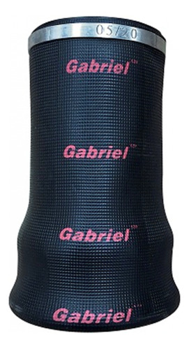 Bolsa De Aire (1s5-038 Codigo Goodyear) Marca Gabriel