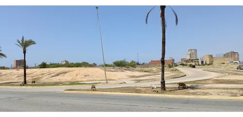 Terreno Av. Romulo Betancourt