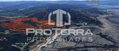 Parcela Con Bosque Nativo En Reserva Costera-valdivia