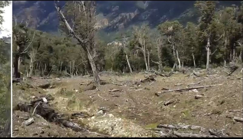 Imagen 2 de 12 de Campo 136 Ha En Río Ibáñez