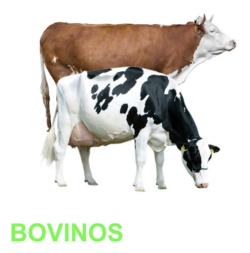 Imagem 4 de 10 de Ralone Duotop 500ml Maximo Ganho Peso Bovinos Anabol Engorda