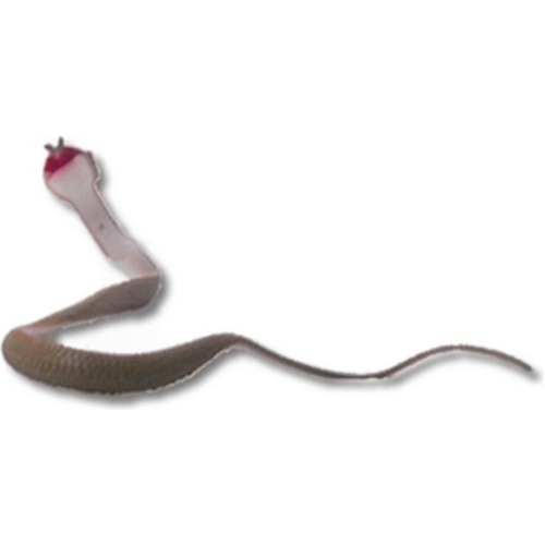 Cobra Naja De Borracha Serpente Moldável Pegadinha